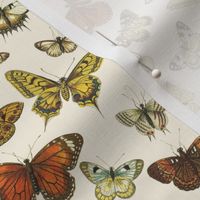 Butterflies Au Naturel 02 // Standard