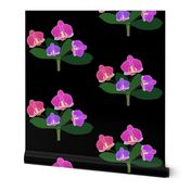 Elegant Orchids - Simple Spray - Black, medium