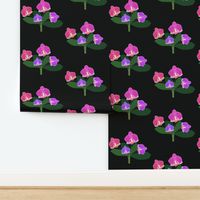 Elegant Orchids - Simple Spray - Black, medium