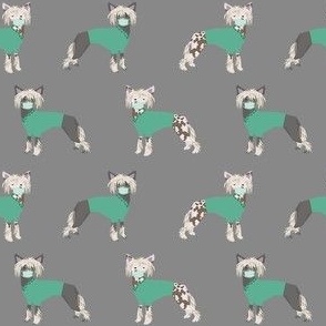 chinese crested in scrubs fabric - dogs in scrubs design - grey