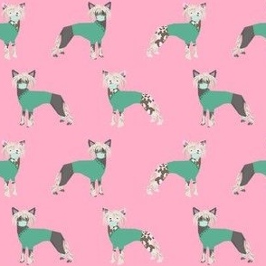 chinese crested in scrubs fabric - dogs in scrubs design - pink