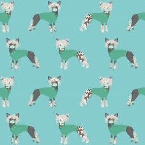 chinese crested in scrubs fabric - dogs in scrubs design - light blue