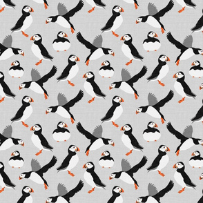 Arctic Puffins - Stormy Grey