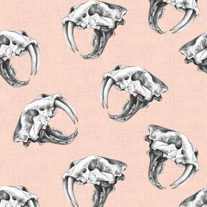 Scattered Sabre Tooth Tiger Skulls on Pink Linen