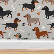 Dachshund Dogs Paws and Bones Gray