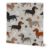 Dachshund Dogs Paws and Bones Gray