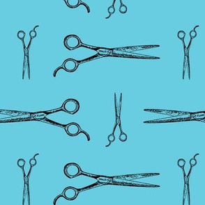 Hair Cutting Shears in Black with Aquamarine Blue Background (Large Scale)