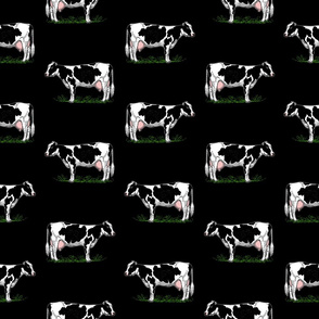 Holstein Cows in Color on Black Background (Large Scale)