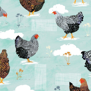Backyard chickens Blue - Large Scale