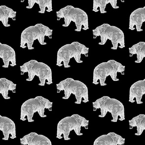 Bears in Black & White with Black Background
