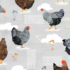 Backyard chickens Grey - Large Scale