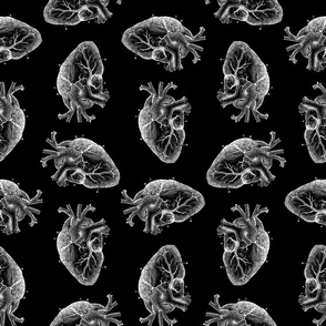 Illustrated Heart Diagram Pattern with Black Background