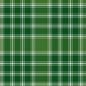 MacDonald, Lord of the Isles hunting tartan, 10" green c.1765