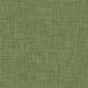 Jeepin Green Linen