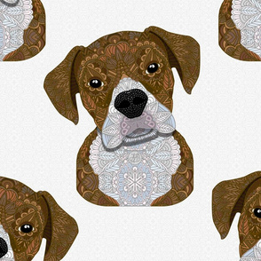 CUTE FAWN BOXER 2019 PATTERN 50s
