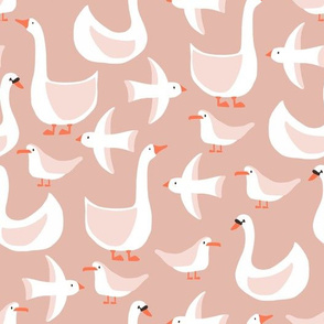 birds, swan, seagull, goose