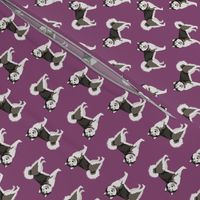 malamute fabric - alaskan malamute with curly tail fabric - dark purple