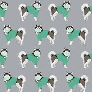 malamute in scrubs fabric - alaskan malamute dog -grey
