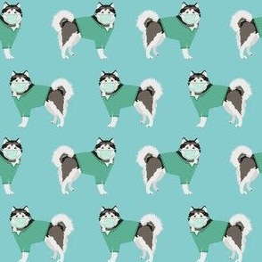 malamute in scrubs fabric - alaskan malamute dog - blue