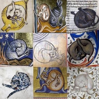 Medieval Cats Licking Their Butts