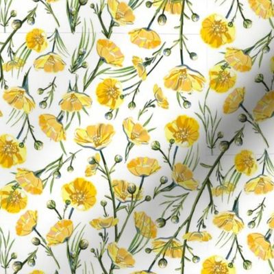 Super Micro Ditsy Buttercups | White