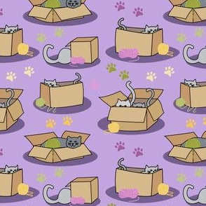 Cats with Yarn and Cardboard Boxes Small