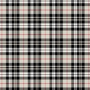 (extra small scale) fall plaid || beige with  red stripe C20BS