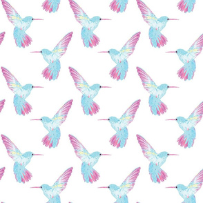 Cute Rainbow Colored Hummingbirds | Blue, Pink, White | Small Scale 
