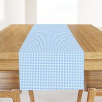 Baby Blue Gingham