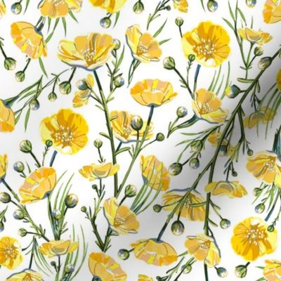 Ditsy Buttercups | White
