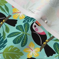 summer toucan 1