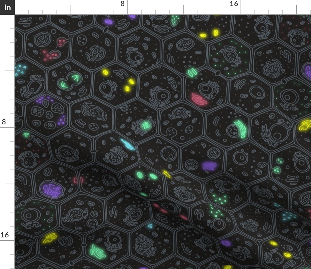 Luciferase Cells