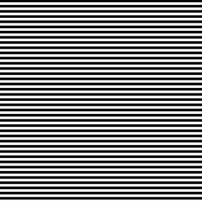 black and white stripe 