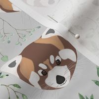 panda on gray background