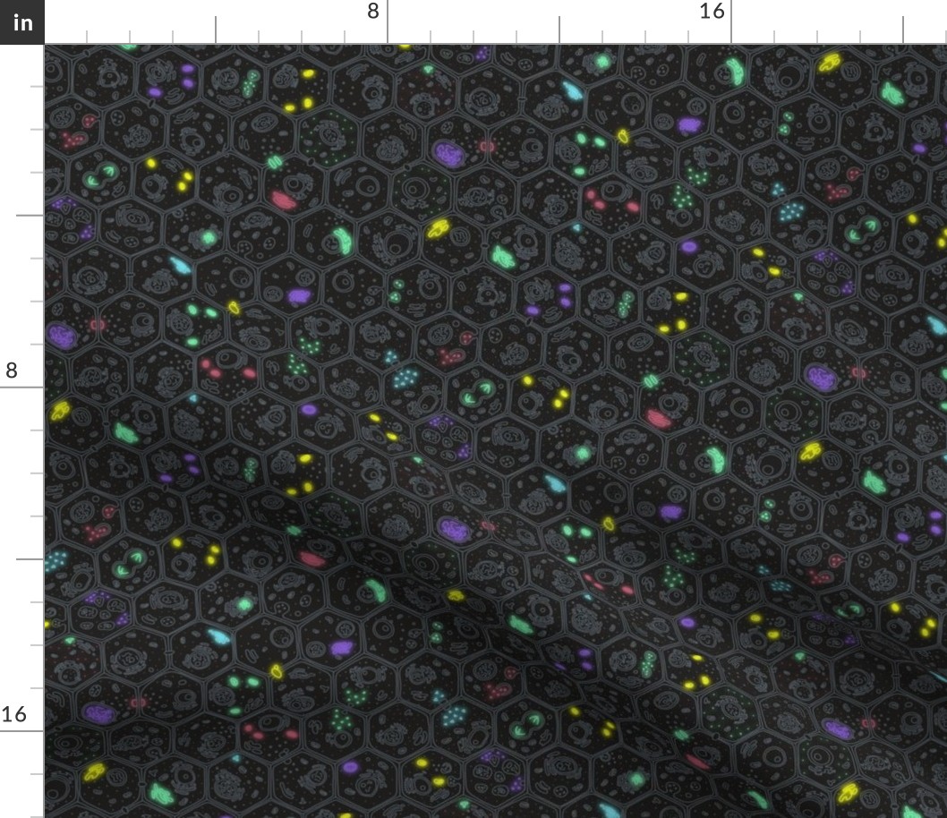 Luciferase Cells Small