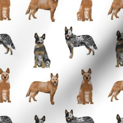 red and blue heelers fabric - cattle dog fabric - white