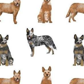 red and blue heelers fabric - cattle dog fabric - white