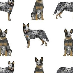 blue heeler fabric - australian cattle dog - white