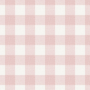 A preppy light pink linen Check Gingham - pinkcore
