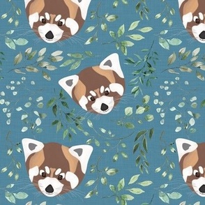 red panda on  blue background