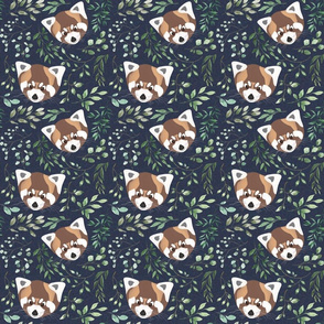 red panda with greenery on navy background
