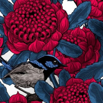 Red waratah and fairy wrens on black, small size