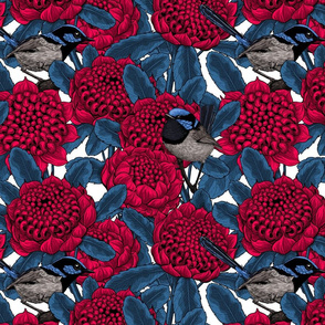 Red waratah and fairy wrens on black, small size