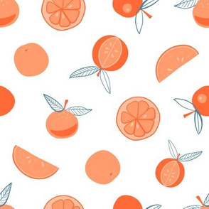 Hand-drawn oranges with teal leaves on a white background