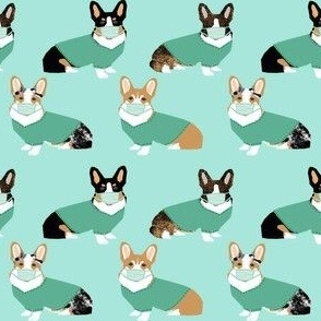 corgis in scrubs fabric - tricolored, corgi, sable and merle corgis - mint