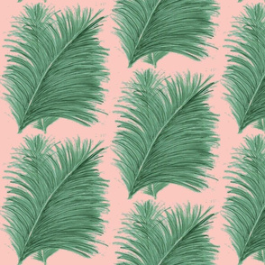 Palm Fronds Shell Pink