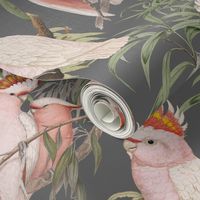 PINK COCKATOOS - COCKATOOS COLLECTION (CHARCOAL)