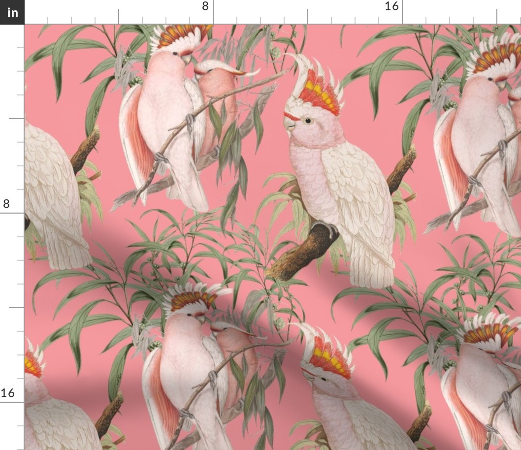 PINK COCKATOOS - COCKATOOS COLLECTION (PINK)