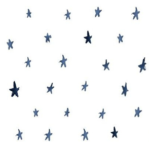 Star Spot - Navy on white