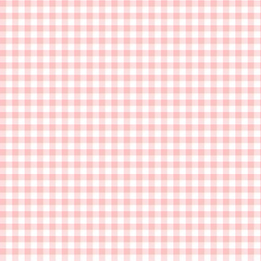 Gingham Pink - small